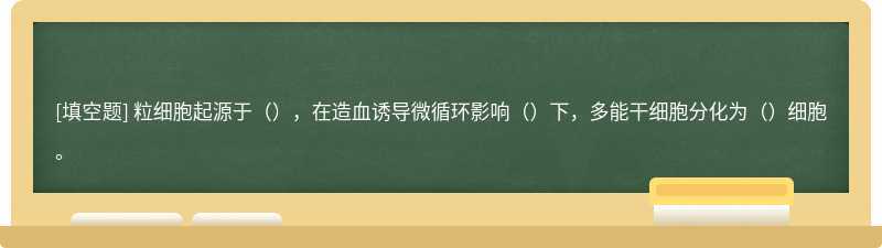 粒细胞起源于（），在造血诱导微循环影响（）下，多能干细胞分化为（）细胞。