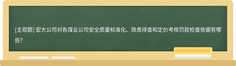 宏大公司对各煤业公司安全质量标准化、隐患排查和定价考核罚款检查依据有哪些？