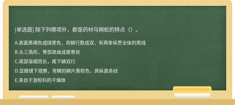 除下列哪项外，都是药材乌梢蛇的特点（）。