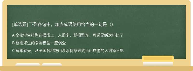 下列各句中，加点成语使用恰当的一句是（）