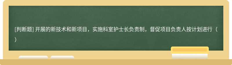 开展的新技术和新项目，实施科室护士长负责制，督促项目负责人按计划进行（）