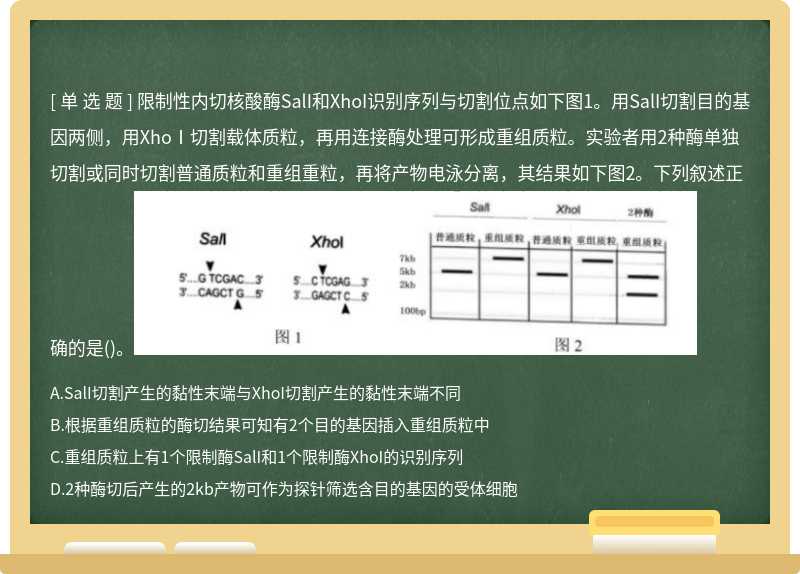 限制性内切核酸酶SalI和XhoI识别序列与切割位点如下图1。用SalI切割目的基因两侧，用XhoⅠ切割载体质粒，再用连接酶处理可形成重组质粒。实验者用2种酶单独切割或同时切割普通质粒和重组重粒，再将产物电泳分离，其结果如下图2。下列叙述正确的是()。