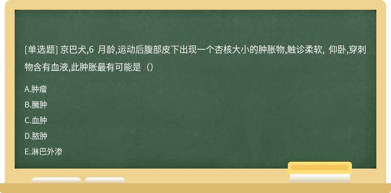 京巴犬,6 月龄,运动后腹部皮下出现一个杏核大小的肿胀物,触诊柔软, 仰卧,穿刺物含有血液,此肿胀最有可能是（）