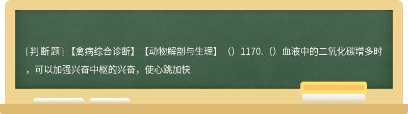 【禽病综合诊断】【动物解剖与生理】（）1170.（）血液中的二氧化碳增多时，可以加强兴奋中枢的兴奋，使心跳加快