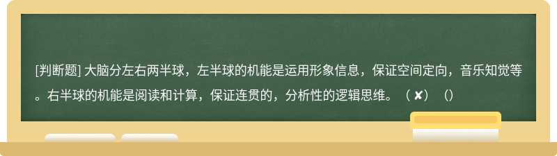 大脑分左右两半球，左半球的机能是运用形象信息，保证空间定向，音乐知觉等。右半球的机能是阅读和计算，保证连贯的，分析性的逻辑思维。（ ✘）（）