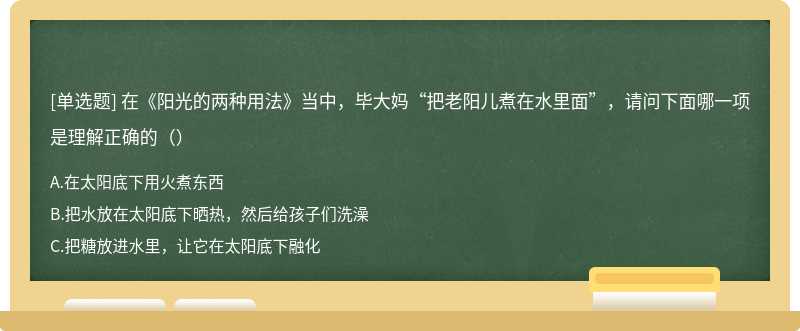 在《阳光的两种用法》当中，毕大妈“把老阳儿煮在水里面”，请问下面哪一项是理解正确的（）