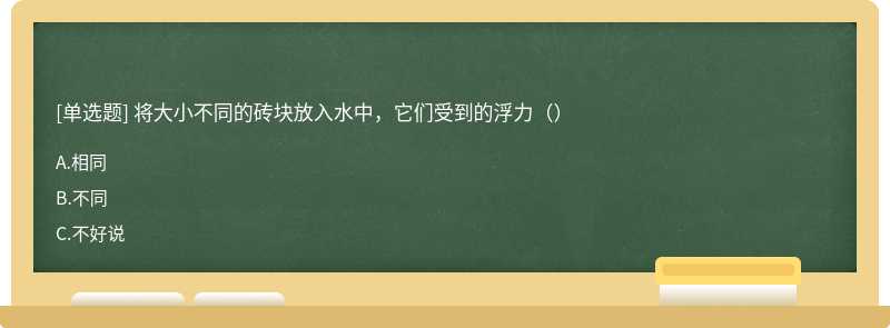 将大小不同的砖块放入水中，它们受到的浮力（）