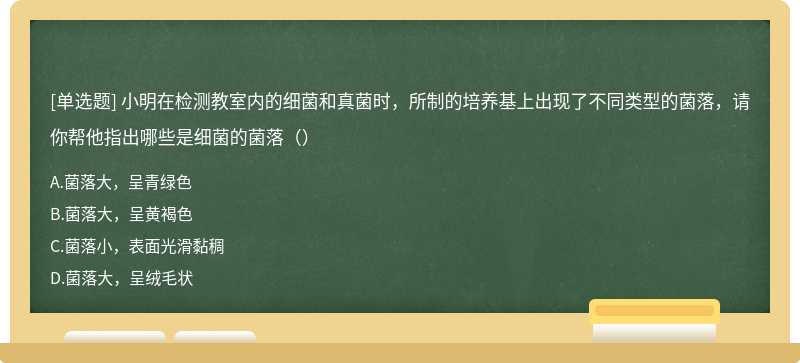 小明在检测教室内的细菌和真菌时，所制的培养基上出现了不同类型的菌落，请你帮他指出哪些是细菌的菌落（）