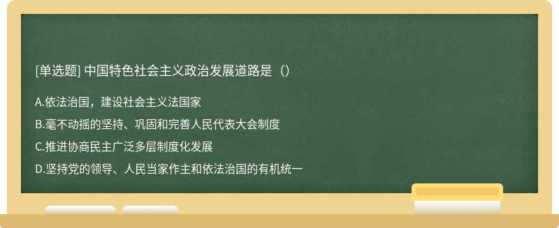 中国特色社会主义政治发展道路是（）