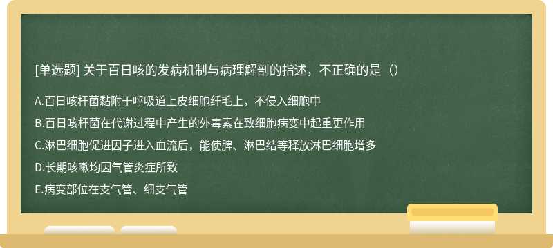 关于百日咳的发病机制与病理解剖的指述，不正确的是（）