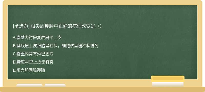 根尖周囊肿中正确的病理改变是（）