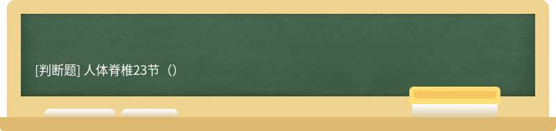 人体脊椎23节（）