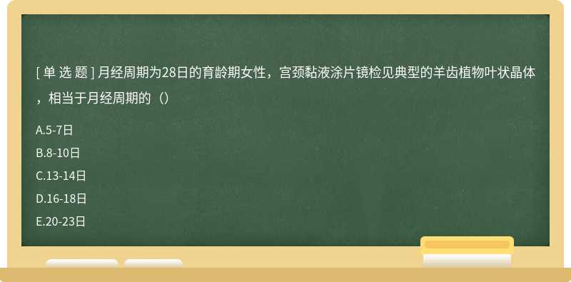 月经周期为28日的育龄期女性，宫颈黏液涂片镜检见典型的羊齿植物叶状晶体，相当于月经周期的（）