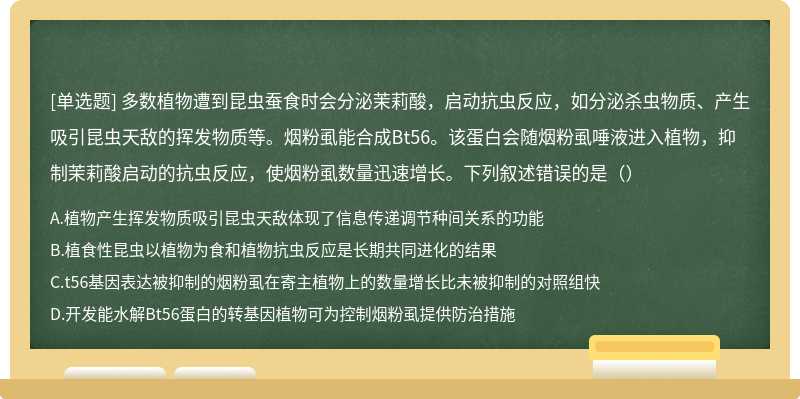 多数植物遭到昆虫蚕食时会分泌茉莉酸，启动抗虫反应，如分泌杀虫物质、产生吸引昆虫天敌的挥发物质等。烟粉虱能合成Bt56。该蛋白会随烟粉虱唾液进入植物，抑制茉莉酸启动的抗虫反应，使烟粉虱数量迅速增长。下列叙述错误的是（）