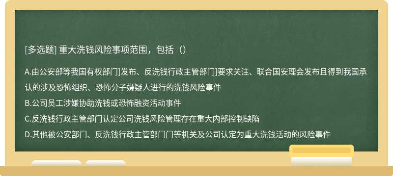 重大洗钱风险事项范围，包括（）