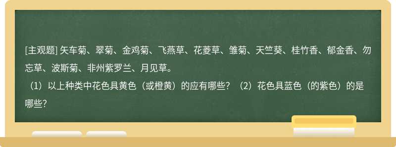 矢车菊、翠菊、金鸡菊、飞燕草、花菱草、雏菊、天竺葵、桂竹香、郁金香、勿忘草、波斯菊、非州紫罗兰、月见草。（1）以上种类中花色具黄色（或橙黄）的应有哪些？（2）花色具蓝色（的紫色）的是哪些？