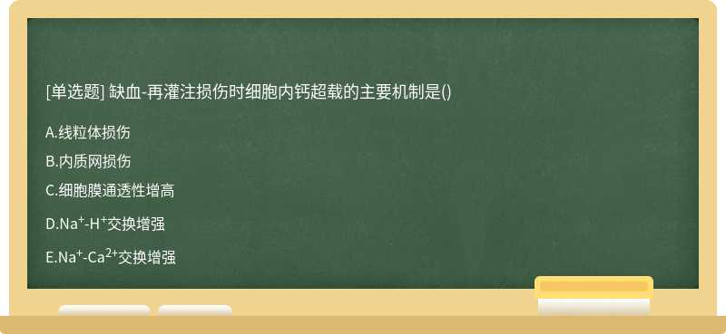 缺血-再灌注损伤时细胞内钙超载的主要机制是（)  A．线粒体损伤  B．内质网损伤  C．细胞膜通透性增高  D．Na+-