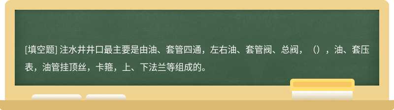 注水井井口最主要是由油、套管四通，左右油、套管阀、总阀，（），油、套压表，油管挂顶丝，卡箍，上、下法兰等组成的。