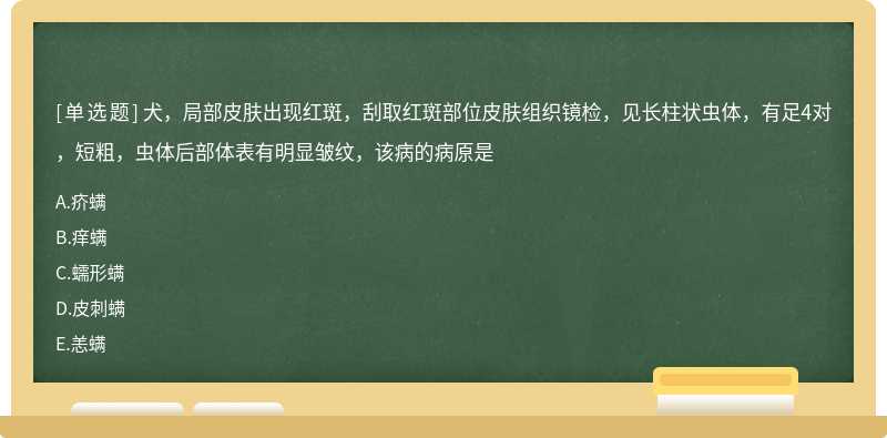 犬，局部皮肤出现红斑，刮取红斑部位皮肤组织镜检，见长柱状虫体，有足4对，短粗，虫体后部体表有