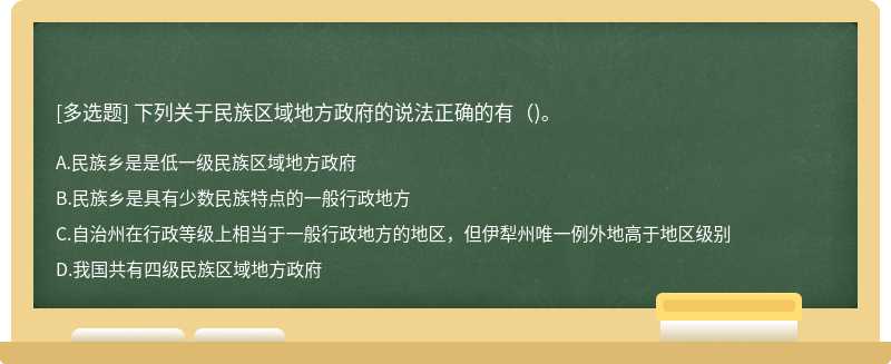 下列关于民族区域地方政府的说法正确的有（)。