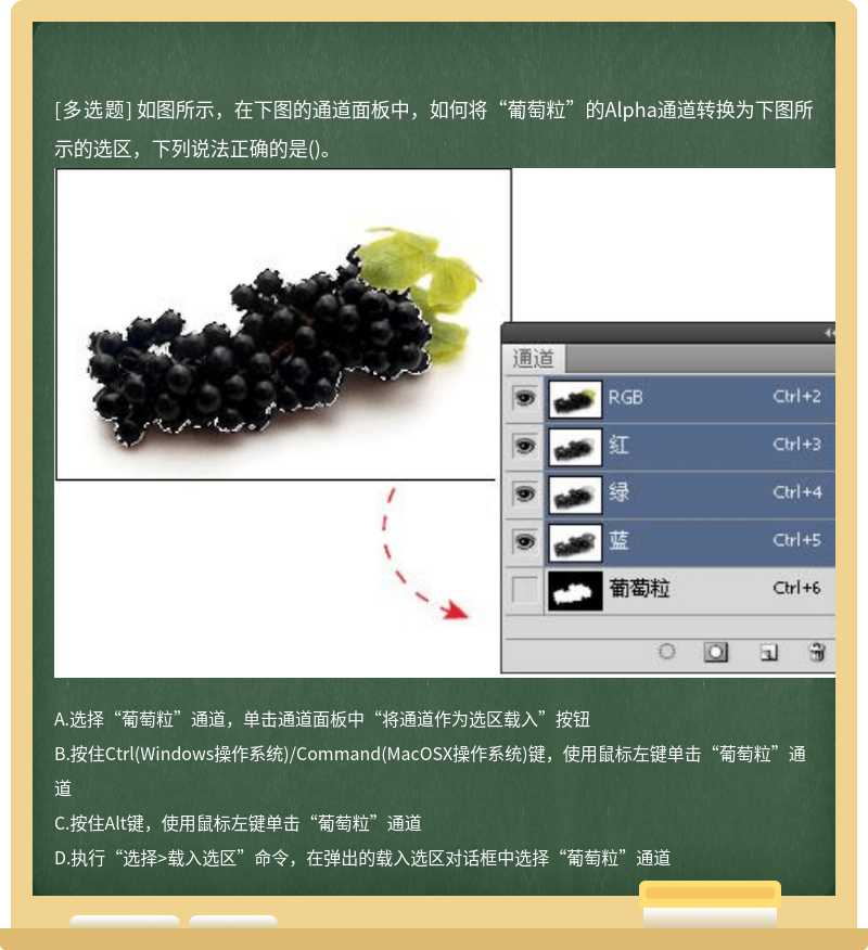 如图所示，在下图的通道面板中，如何将“葡萄粒”的Alpha通道转换为下图所示的选区，下列说法正确