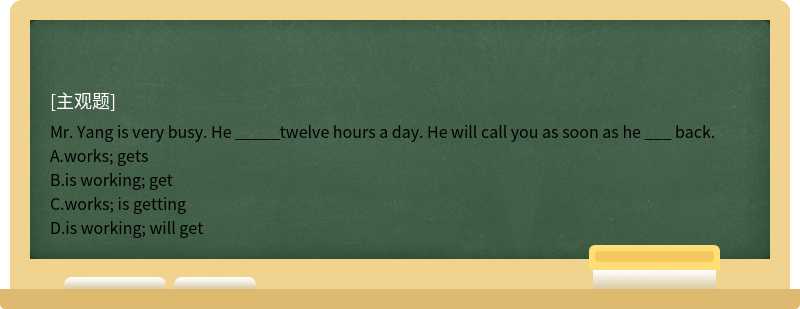 Mr. Yang is very busy. He _____twelve hours a day.