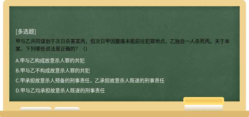 甲与乙共同谋划于次日杀害某丙，但次日甲因腹痛未能前往犯罪地点，乙独自一人杀死丙。关于本案，下列哪些说法是正确的？（）