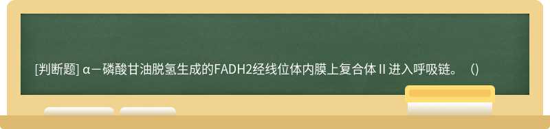 α－磷酸甘油脱氢生成的FADH2经线位体内膜上复合体Ⅱ进入呼吸链。（)
