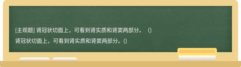 肾冠状切面上，可看到肾实质和肾窦两部分。（)