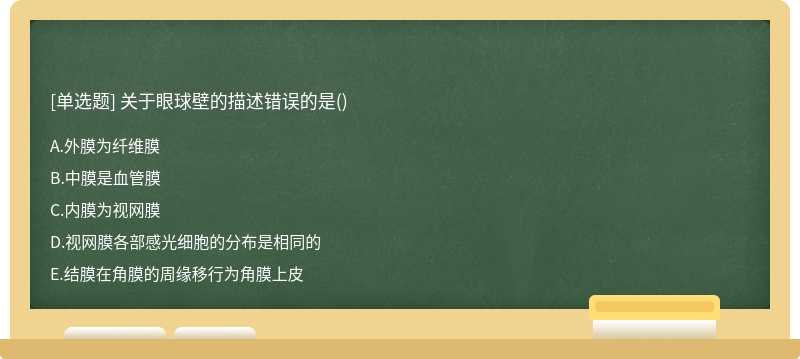 关于眼球壁的描述错误的是（)A.外膜为纤维膜B.中膜是血管膜C.内膜为视网膜D.视网膜各部感光细