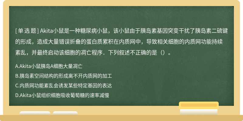 Akita小鼠是一种糖尿病小鼠，该小鼠由于胰岛素基因突变干扰了胰岛素二硫键的形成，造成大量错误折叠的蛋白质累积在内质网中，导致相关细胞的内质网功能持续紊乱，并最终启动该细胞的凋亡程序．下列叙述不正确的是（）。