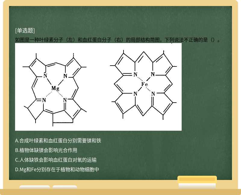 如图是一种叶绿素分子（左）和血红蛋白分子（右）的局部结构简图，下列说法不正确的是（）。