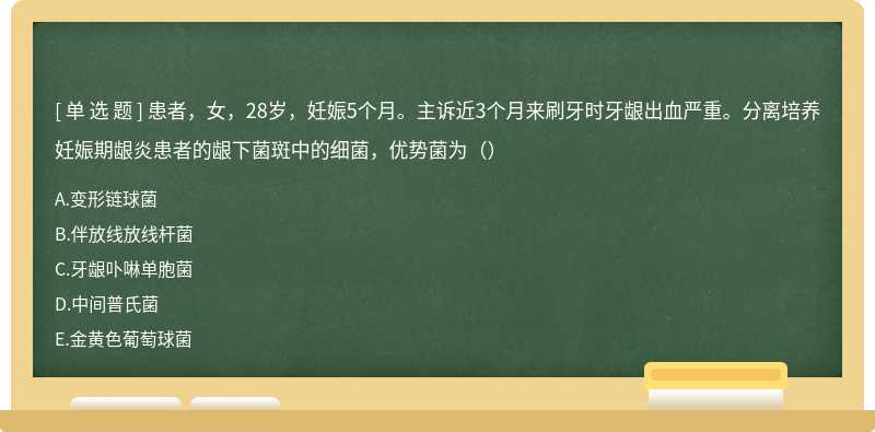 患者，女，28岁，妊娠5个月。主诉近3个月来刷牙时牙龈出血严重。分离培养妊娠期龈炎患者的龈下菌斑中的细菌，优势菌为（）