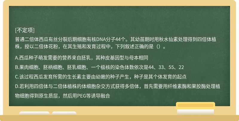 普通二倍体西瓜有丝分裂后期细胞有核DNA分子44个。其幼苗期时用秋水仙素处理得到四倍体植株，授以二倍体花粉，在其生殖和发育过程中，下列叙述正确的是（）。