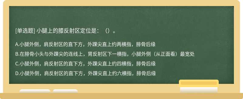 小腿上的膝反射区定位是：（）。