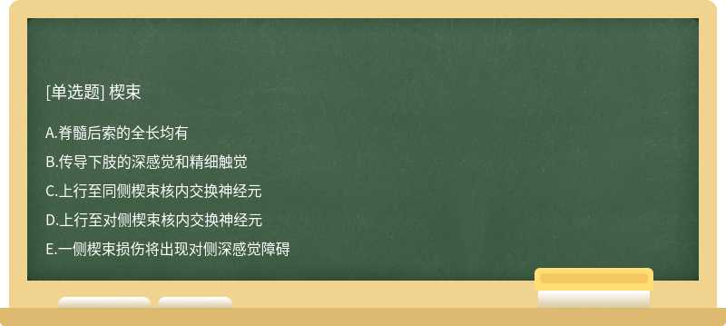 楔束  A．脊髓后索的全长均有  B．传导下肢的深感觉和精细触觉  C．上行至同侧楔束核内交换神经元  D．上行至对