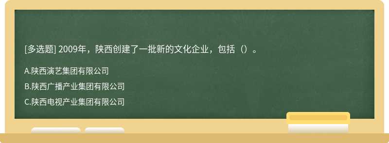 2009年，陕西创建了一批新的文化企业，包括（）。