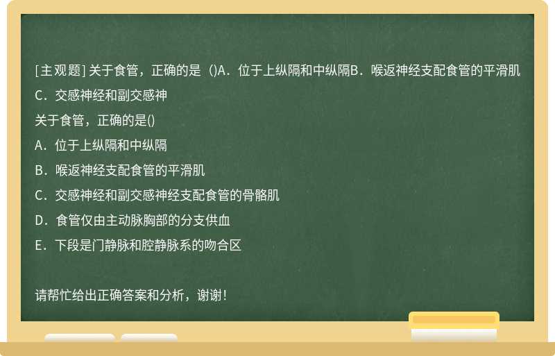 关于食管，正确的是（)A．位于上纵隔和中纵隔B．喉返神经支配食管的平滑肌C．交感神经和副交感神