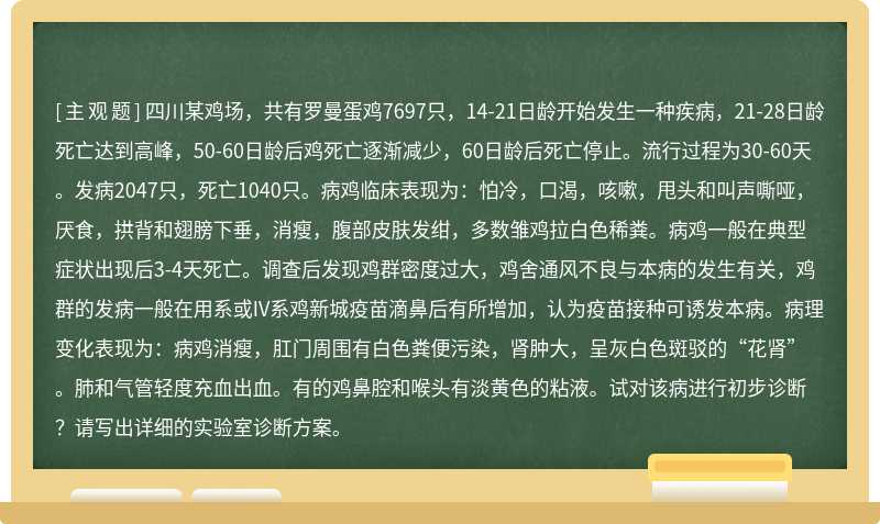 四川某鸡场，共有罗曼蛋鸡7697只，14-21日龄开始发生一种疾病，21-28日龄死亡达到高峰，50-60日龄后鸡死亡逐渐减少，60日龄后死亡停止。流行过程为30-60天。发病2047只，死亡1040只。病鸡临床表现为：怕冷，口渴，咳嗽，甩头和叫声嘶哑，厌食，拱背和翅膀下垂，消瘦，腹部皮肤发绀，多数雏鸡拉白色稀粪。病鸡一般在典型症状出现后3-4天死亡。调查后发现鸡群密度过大，鸡舍通风不良与本病的发生有关，鸡群的发病一般在用系或IV系鸡新城疫苗滴鼻后有所增加，认为疫苗接种可诱发本病。病理变化表现为：病鸡消瘦，肛门周围有白色粪便污染，肾肿大，呈灰白色斑驳的“花肾”。肺和气管轻度充血出血。有的鸡鼻腔和喉头有淡黄色的粘液。试对该病进行初步诊断？请写出详细的实验室诊断方案。