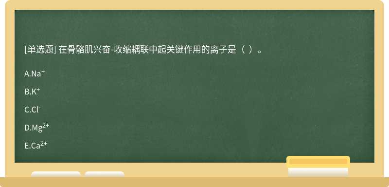 在骨骼肌兴奋-收缩耦联中起关键作用的离子是（  ）。