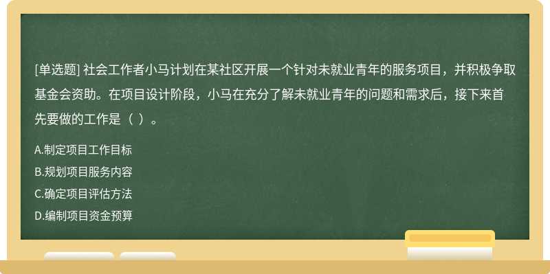 社会工作者小马计划在某社区开展一个针对未就业青年的服务项目，并积极争取基金会资助。在项目设计阶段，小马在充分了解未就业青年的问题和需求后，接下来首先要做的工作是（  ）。