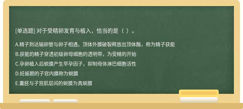 对于受精卵发育与植入，恰当的是（  ）。