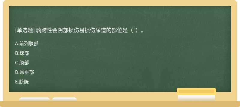 骑跨性会阴部损伤易损伤尿道的部位是（  ）。