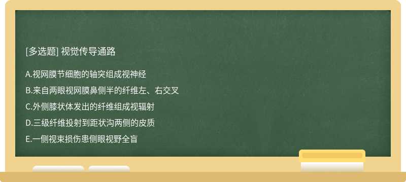 视觉传导通路  A．视网膜节细胞的轴突组成视神经  B．来自两眼视网膜鼻侧半的纤维左、右交叉  C．外侧膝状体发