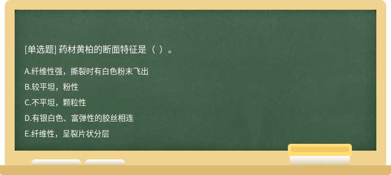 藥材黃柏的斷面特征是（  ）。