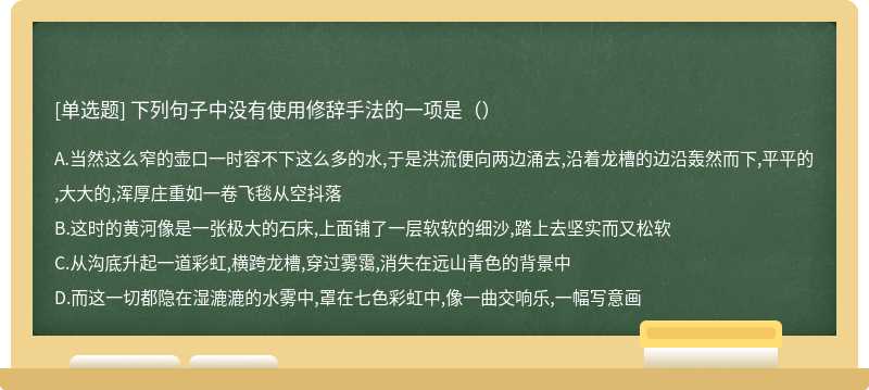 下列句子中没有使用修辞手法的一项是（）