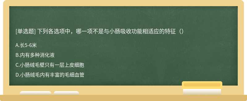 下列各选项中，哪一项不是与小肠吸收功能相适应的特征（）