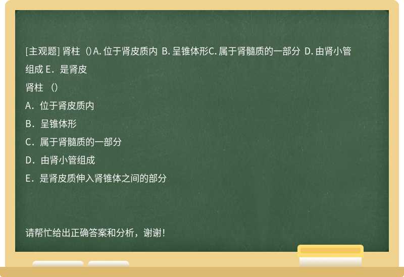 肾柱 （）A．位于肾皮质内 B．呈锥体形C．属于肾髓质的一部分 D．由肾小管组成 E．是肾皮