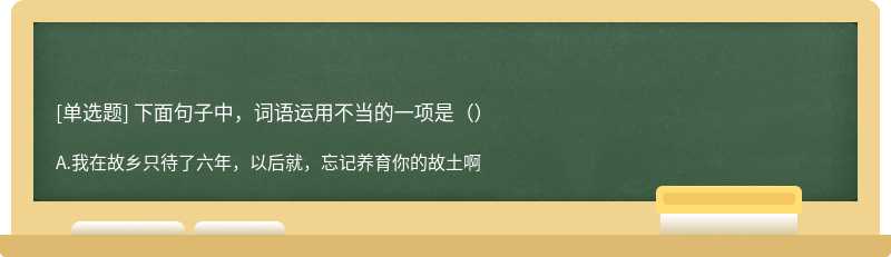 下面句子中，词语运用不当的一项是（）