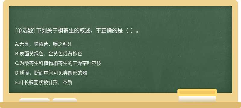 下列关于槲寄生的叙述，不正确的是（  ）。